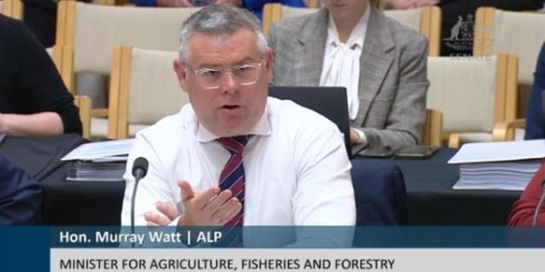 The Animal Justice Party has confirmed it did a preference deal with the Albanese Government to secure its policy to phase out live sheep exports by sea, just months after Agriculture Minister Murray Watt claimed he had no knowledge of such deals

👉 loom.ly/IH0miBk