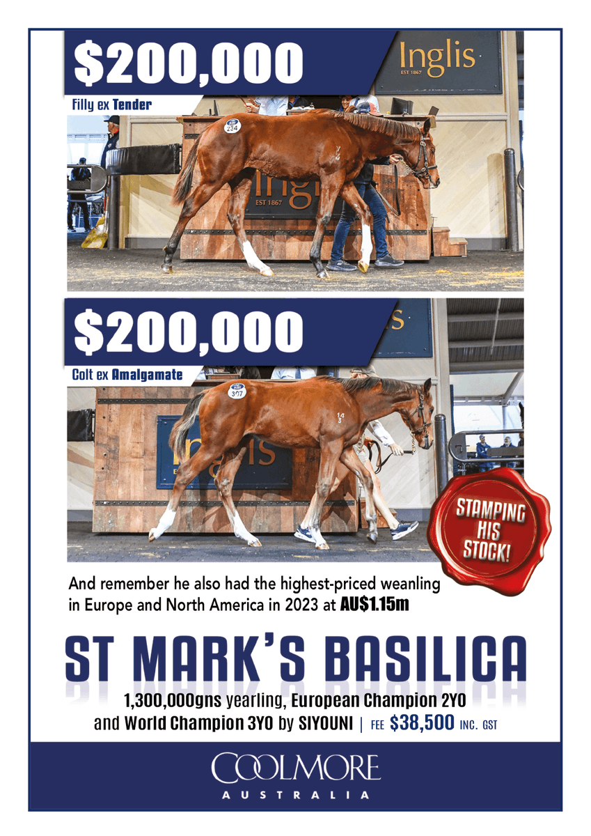 ☘️ ST MARK'S BASILICA ☘️ Stamping his stock! 👊 Standing for $38,500 at @CoolmoreAus 📍