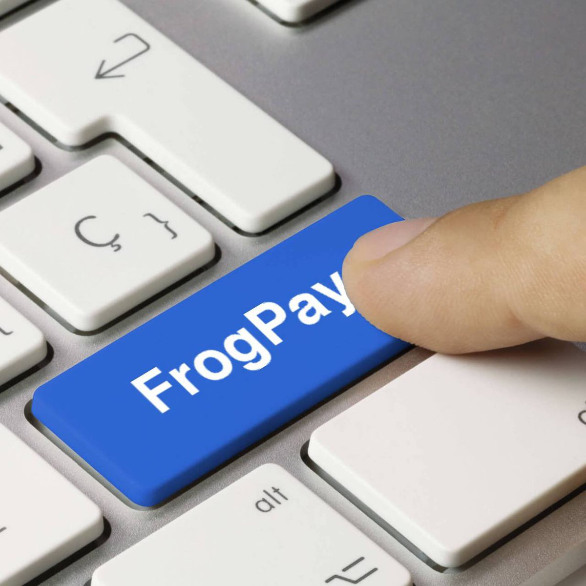 📣 @FrogPayAI is the World-First Decentralized Charge-Back on Blockchain.

🔗 Thanks to FrogPay, for the first time since Bitcoin was created, payments will be secure and anyone can access a refund option, thanks to their new, fair & decentralized dispute resolution technology.