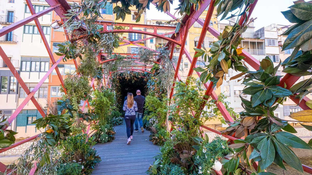 winteralar's tweet photo. En Girona cada mes de mayo celebran el Temps de Flors, una fiesta primaveral en la que LLENAN la ciudad de flores y plantas... hay que amar a los catalanes https://t.co/Ul5mhbkgsV
