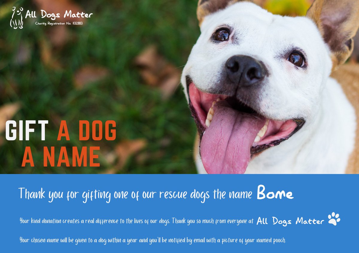 Day 61 of 100! We have just named our 61st rescue dog “BOME”. After @Bomebookofmemes 39 More Rescue Dogs to Go! 🐶 #Charity @AllDogsMatter #100dogmission #ForAda #TolysDog $ADA #MemeCoinSeason #meme #memecoin #Defi #SolanaCommunity #SolanaMobile #BOME $BOME

*PLEASE NOTE THIS IS