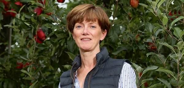 Five-year seasonal worker scheme welcomed by British apple and pear growers

Read more via #HortNews >> hortnews.com/articles/horti…

@GBApples @AliCapper #SeasonalLabour #SeasonalWorkers #SupplyChain #LabourShortages
