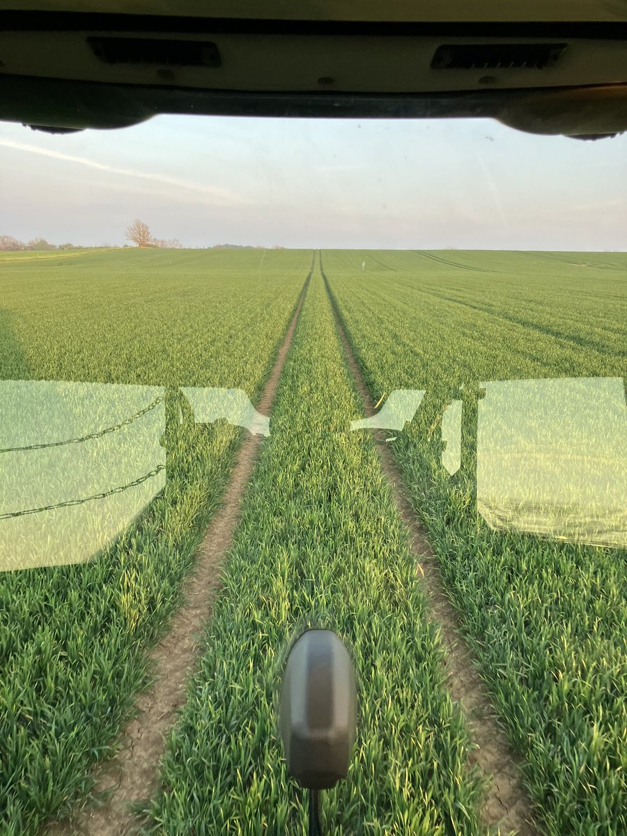 jonsweet7530's tweet photo. Crops starting to perk up in the sun over the last week https://t.co/glFcCGkelv