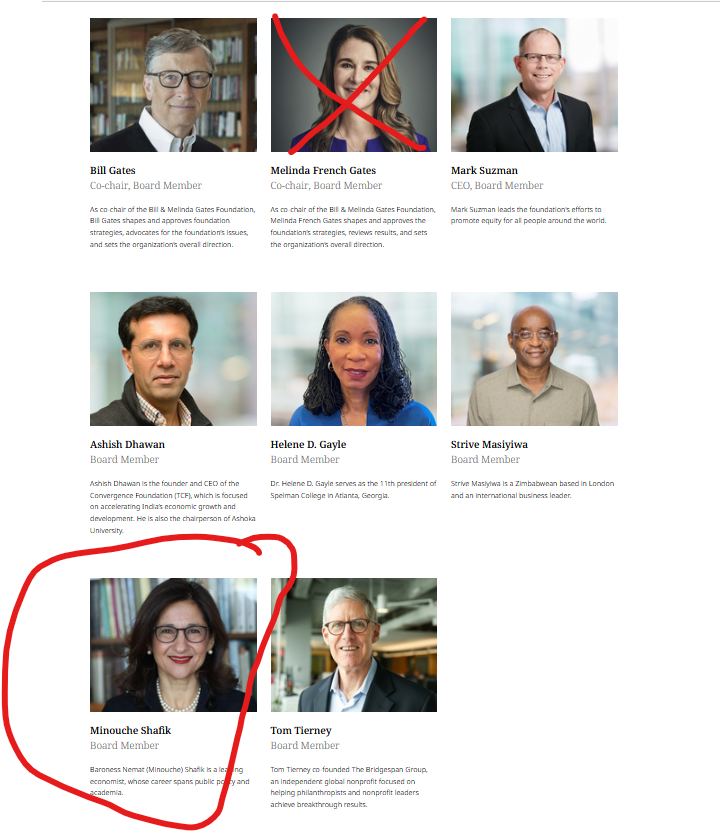 @MSuzman @melindagates Now there will be only 2 women on that @gatesfoundation board - & check out who 1 of them will be.