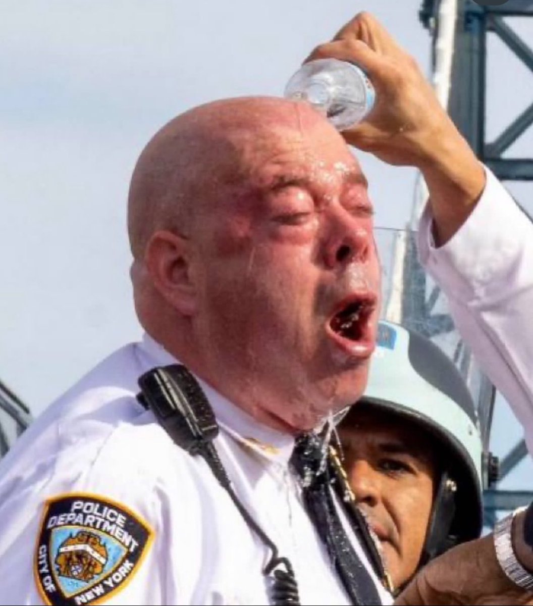 NYPD Assistant Chief James McCarthy accidentally pepper-sprays himself during anti-genocide protest, May 12th. Why are we giving these guys assault rifles? We should instead build safe rooms for them in schools for when there’s an active shooter.