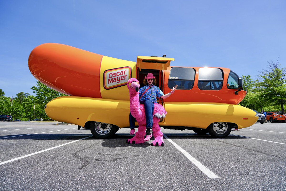 GoSquirrels's tweet image. name a more iconic duo 🦩🌭