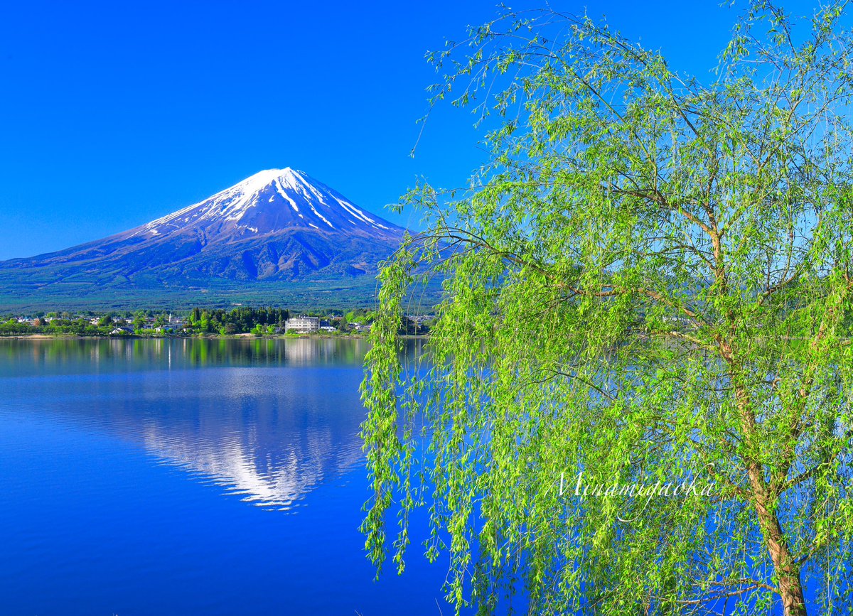 おはようございます。 逆さも綺麗に出てくれました。 #富士山 #逆さ富士 #新緑