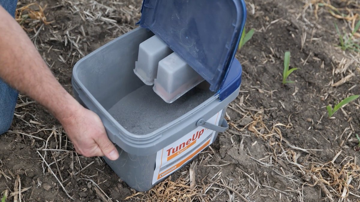 Still planting? It's not too late to take advantage of the amazing benefits of TuneUp+ Corn. Packed with vital nutrients and active microbes, TuneUp+ starts plants strong and helps them stay strong throughout the season. streamline-ag.com/products