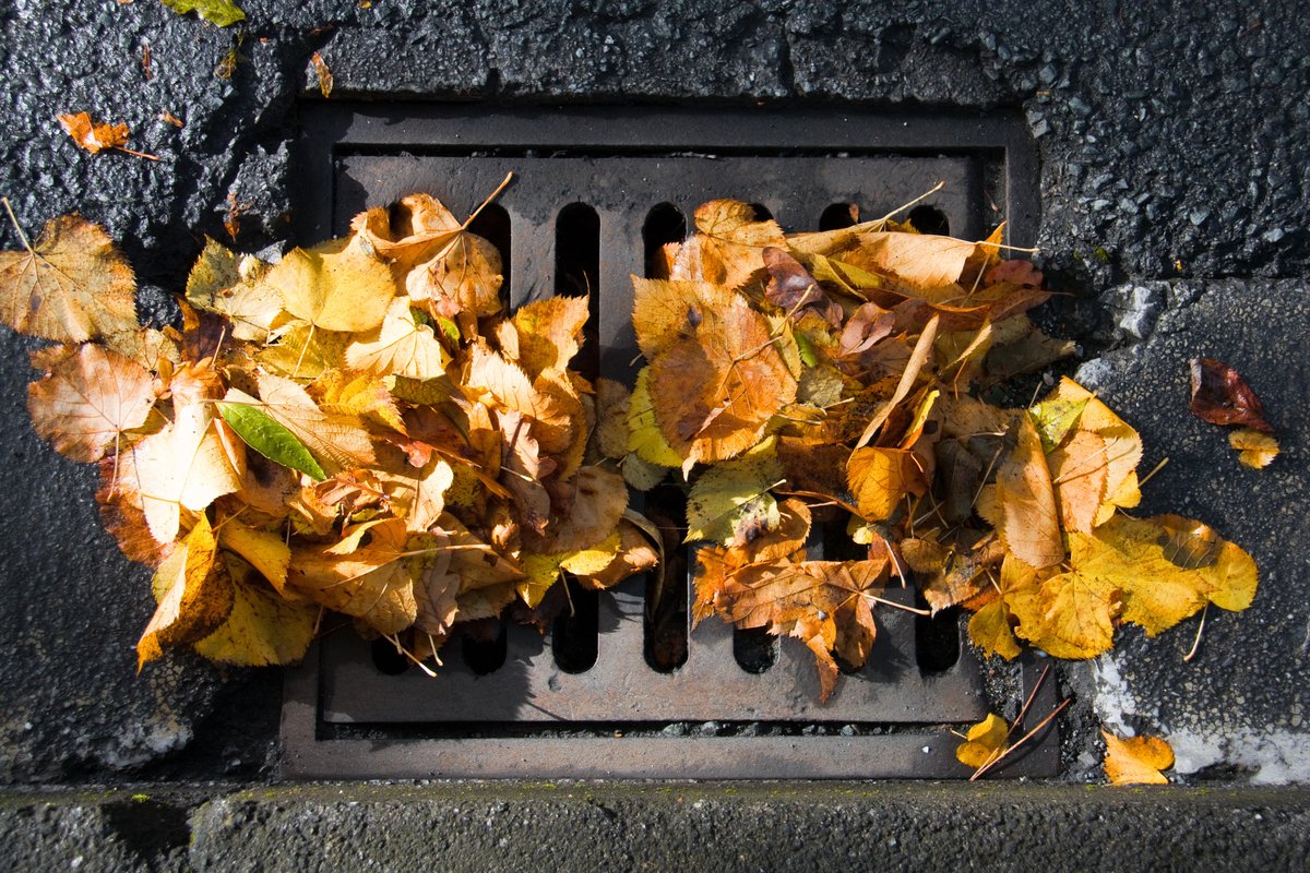 Catch basin cleaning begins this week and will take place over the next 4 weeks to prevent flooding and lessen the flow of debris into our stormwater systems from Davis to Mulock & Bathurst to Prospect. Please refrain from parking over catch basins. Info: bit.ly/3K3iBrv