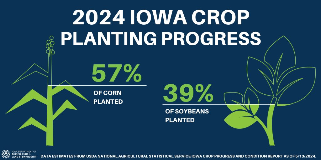 “Planters continue to be parked across much of the state. Widespread wet conditions last week have delayed planting progress and it’s certainly weighing on the minds of farmers,” said Secretary @MikeNaigIA. Read the full weekly report: iowaagriculture.gov/news/crop-prog… #IowaAg