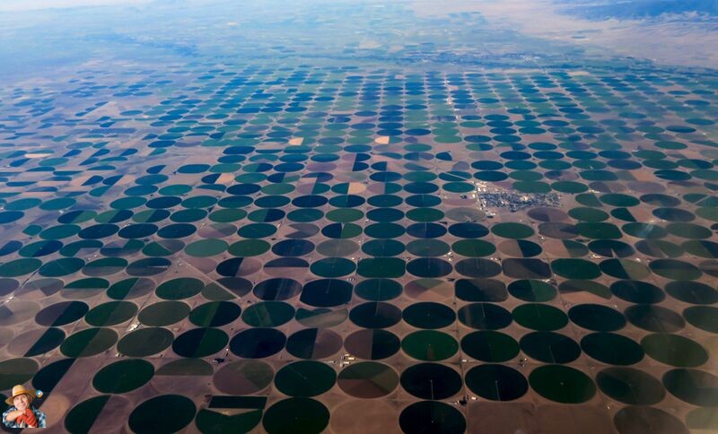 Navigating the Ogallala Aquifer Dilemma: Sustainable Solutions for Potato Farming Explore the challenges posed by water depletion in the Ogallala aquifer and the implications for potato farming, as elucidated by Sam Knowlton. Discover the imperative of ... potatoes.news/navigating-the…