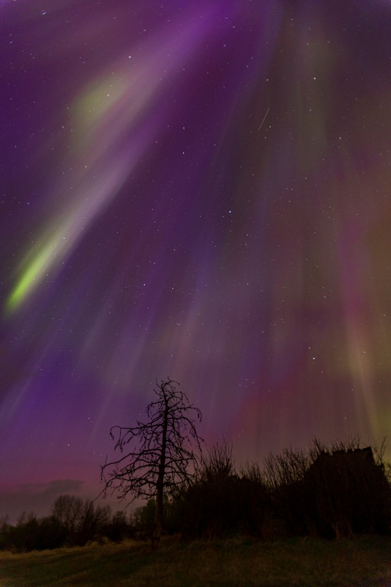 Check out this breathtaking photo of the colorful aurora, displaying hues of yellow and purple, taken from the ground at 3:55 a.m. EDT on May 11, 2024, over Alberta, Canada. This stunning image was captured by @TweetAurora (Aurorasaurus) Ambassador Hugo Sanchez. 🌈