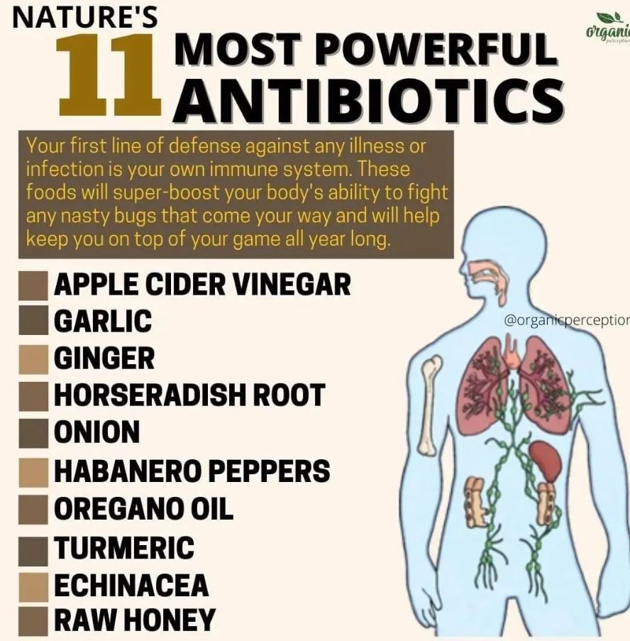 N A T U R E
                      MAKES
THE BEST
NATURAL ANTIBIOTICS!

DO YOU USE THEM?