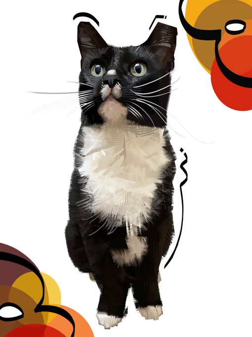 「black cat whiskers」 illustration images(Latest)