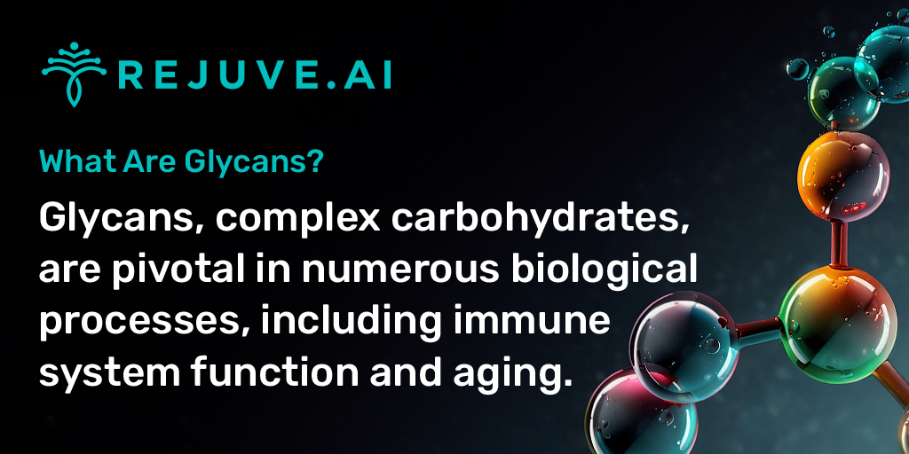 Glycans are among the most interesting biological molecules studied in aging. What exactly are they and why are they taking the longevity scene by storm? Read more about glycans and Rejuve.AI's partnership with @GlycanAge: buff.ly/4acbJCy Plus, get 10%