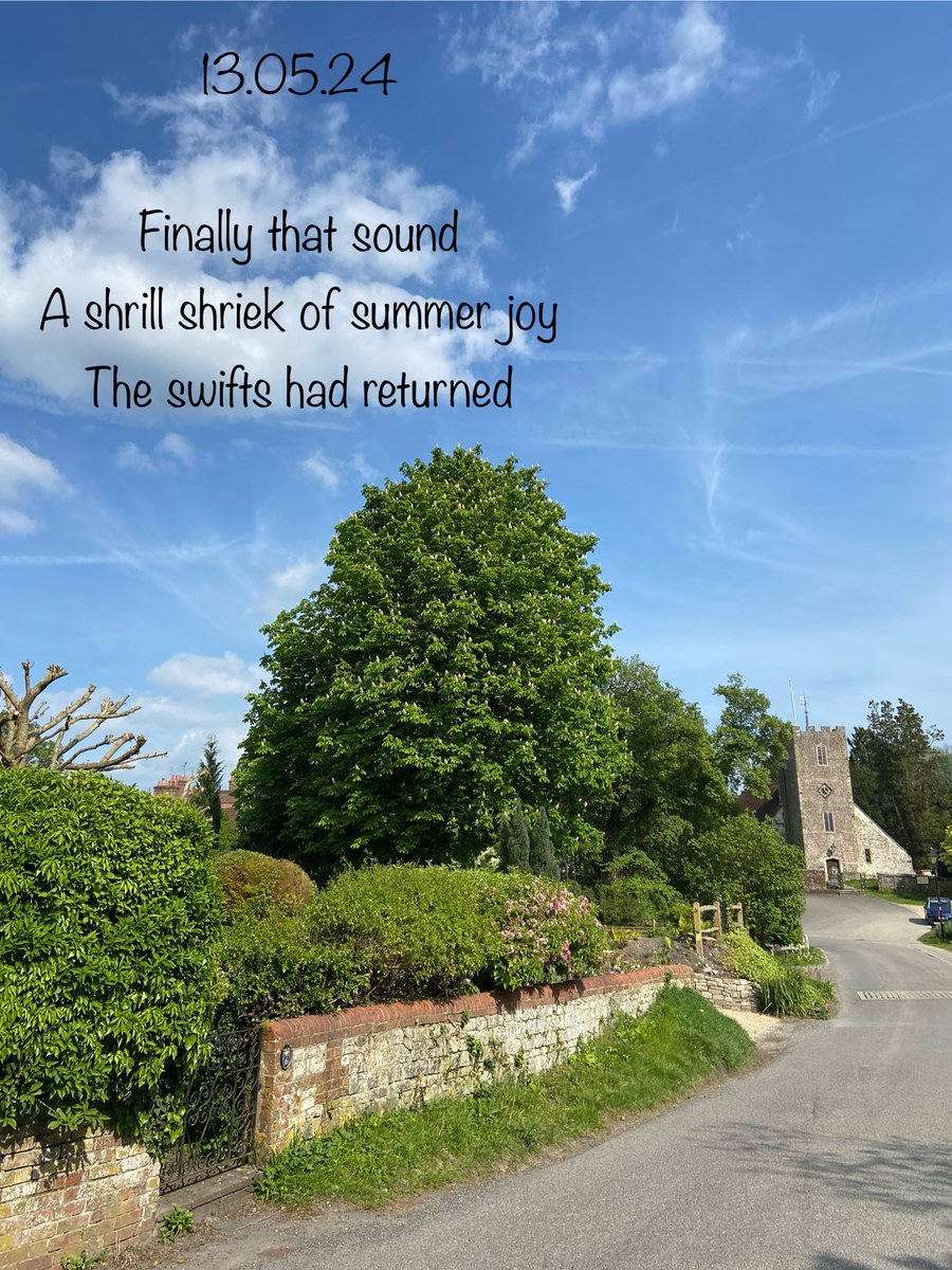 #haiku #haikuchallenge (unprompted) #3lines #amwriting #micropoetry #poetry #poetrycommunity #poetrylovers #writers #writerscommunity #writersoftwitter #WritingCommunity @WriterHannahBT 

13.05.24

Finally that sound
A shrill shriek of summer joy
The swifts had returned