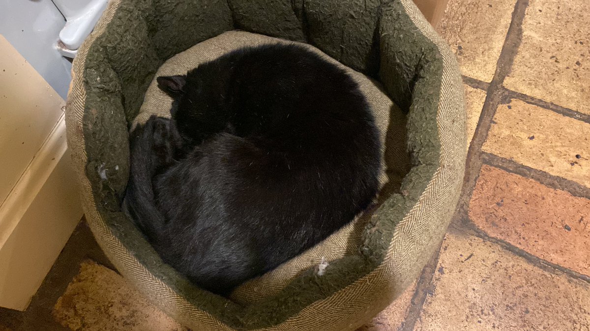 My weathervane my adorable black cat. He has been sleeping outside for the last week. The weather has been sunny and hot and dry at night! Tonight we are expecting heavy rain! He is sleeping peacefully beside my Aga in his basket.!!