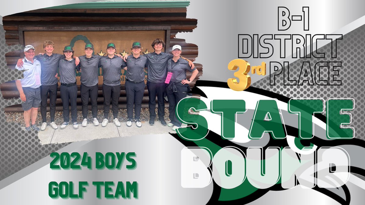 SkyHawks shoot a 3️⃣3️⃣3️⃣ for 🥉and a trip to STATE!!!