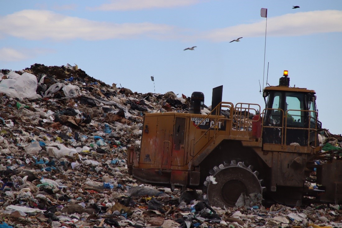 WA Department of Ecology tweet media