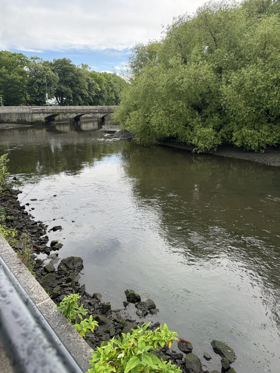 Suzanne Indja tweet media