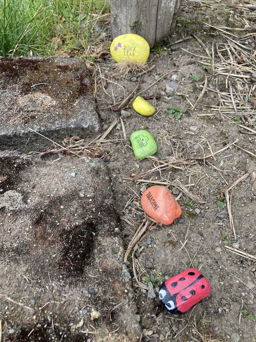 New crop of painted rocks is blooming. 😍