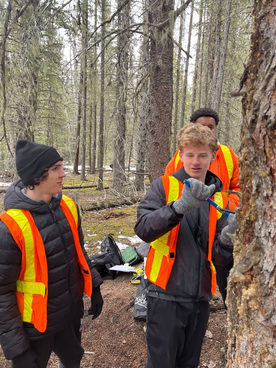 Inside Education tweet media