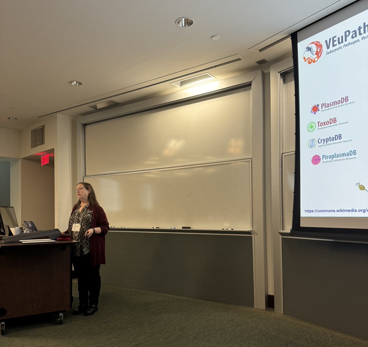 veupathdb's tweet image. The 19th annual #veupathdb workshop is just getting started. Starting with a crash course in omics lecture by Jessie Kissinger @jcklab