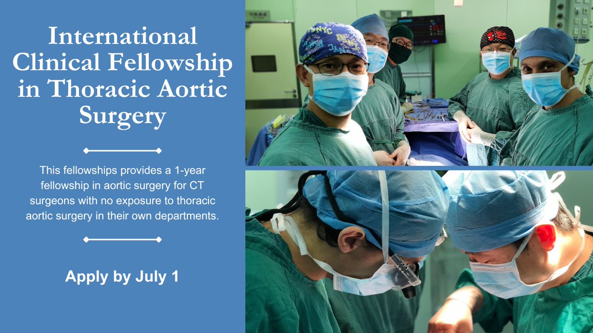 Looking for a fellowship in #aortic surgery? The AATS Foundation is offering a 1-year Clinical Fellowship in Thoracic Aortic Surgery for early career surgeons and residents at @MedUni_Wien. See details and apply by July 1: aats.org/foundation/int…
