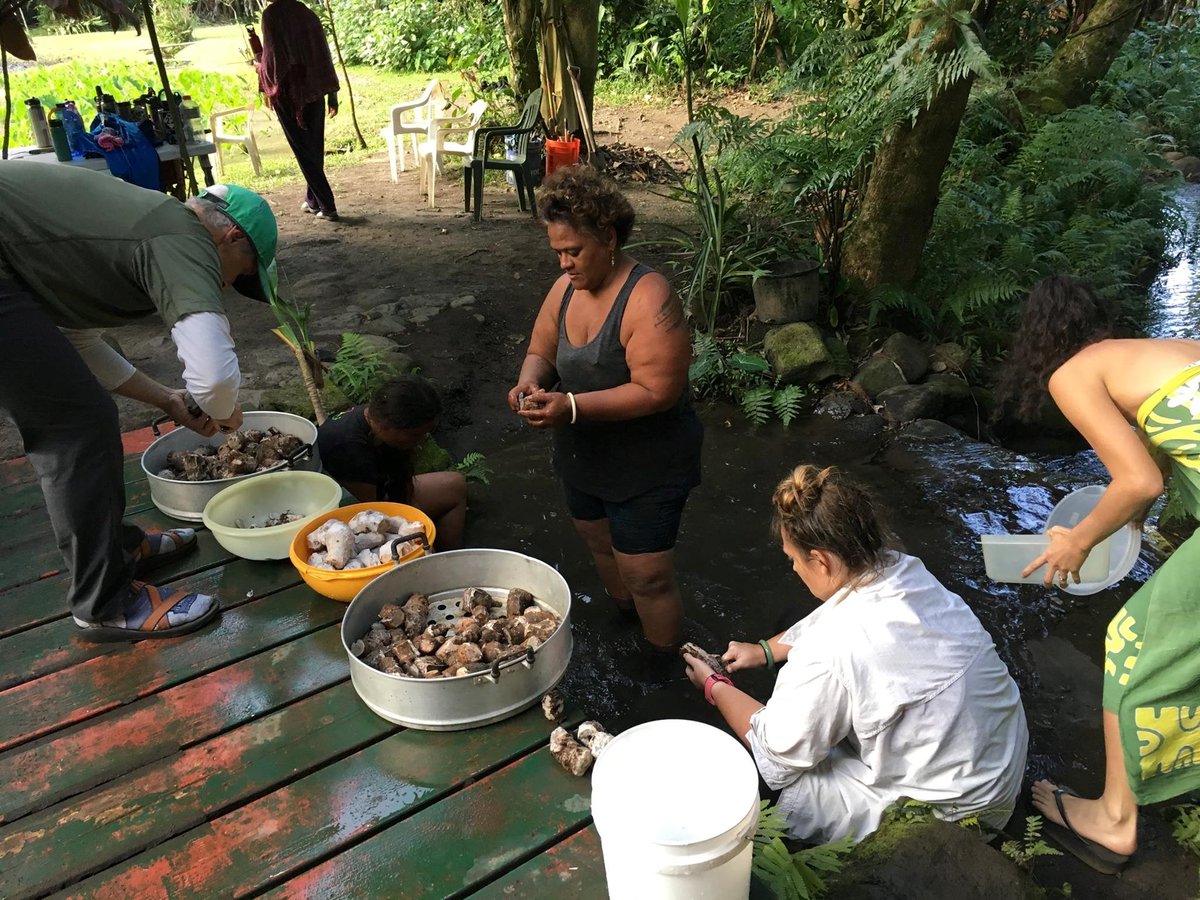 Director of the Institute of Pacific Islands Forestry, Christian Giardina, believes that incorporating community perspectives is vital to the work he and his colleagues do in Hawai’i: fs.usda.gov/research/psw/n… #AAPIHeritageMonth #AANHPI