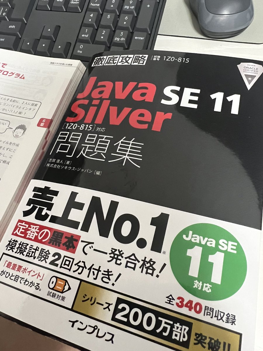 rR___02222's tweet image. 朝かつ
#javasilver