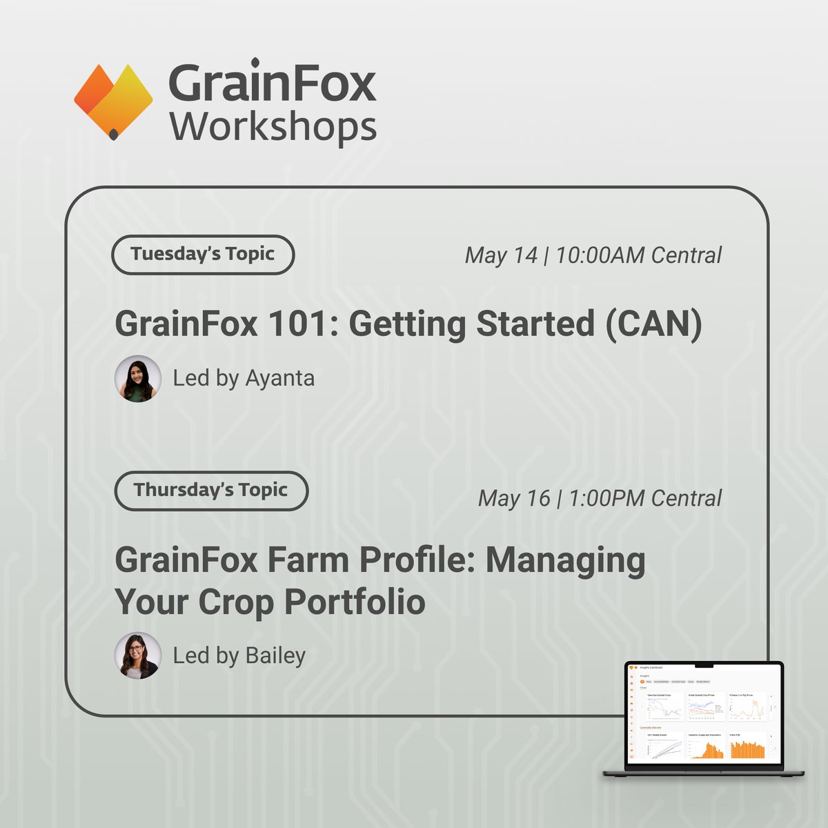 GrainFox tweet media