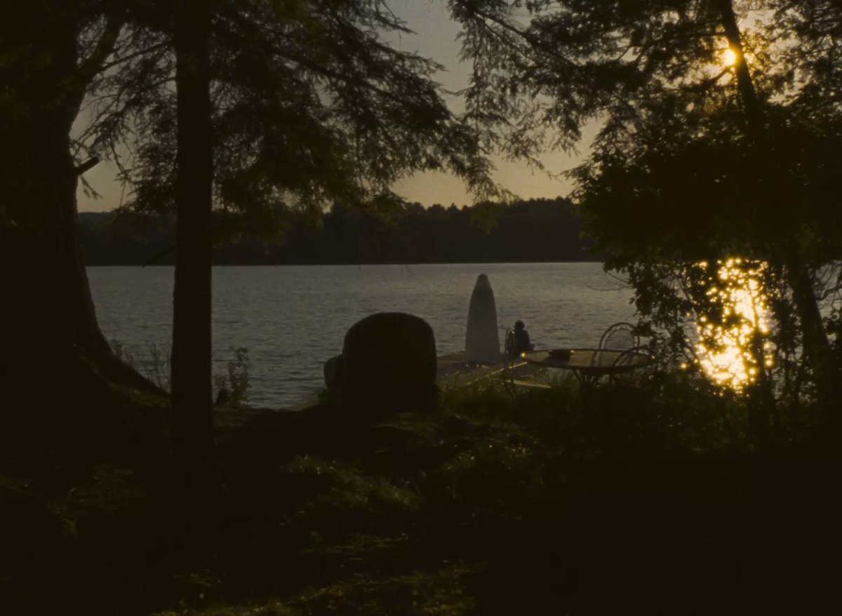 'Falcon Lake' (2.022 ) 🇨🇦 
Me abruma. Un coming age breve e intenso sobre el fin de la adolescencia y el comienzo de la edad adulta. Pocas películas retratan la inocencia de un protagonista de una forma tan pura y tan bien conseguida, haciendo que ataque donde duele.

Una joyita.