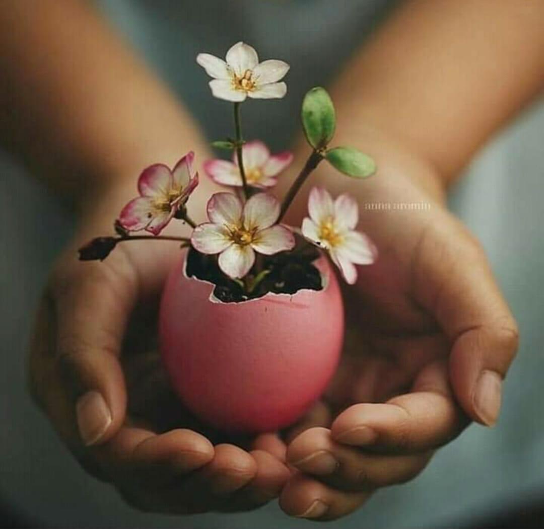 ما  أعظم وانبل منافسة على الإطلاق؟ 
المنافسة التي يخوضها الأبناء  في بر والديهم