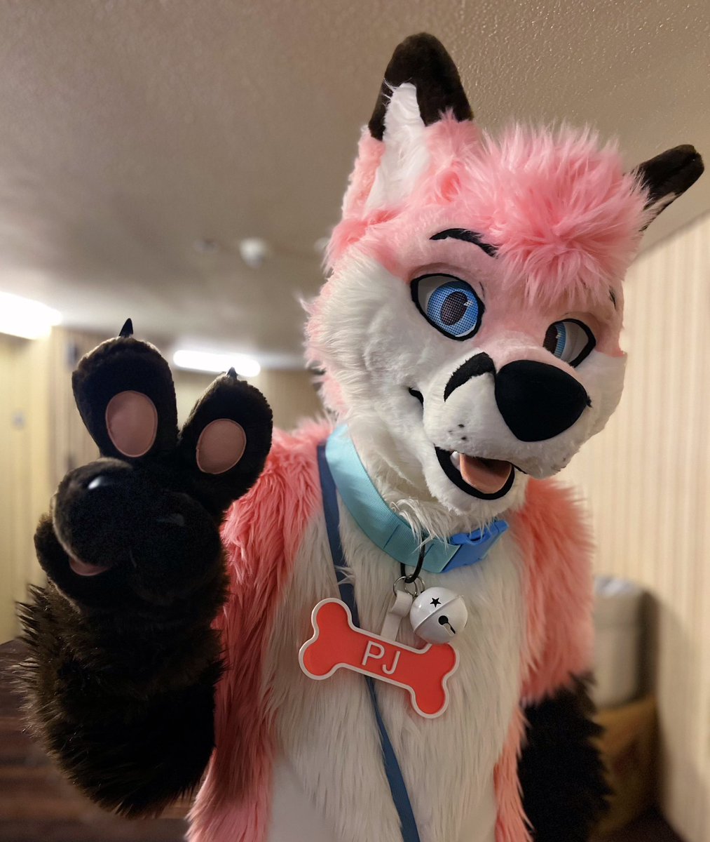 pjfoxes 🦊 🩷 tweet media