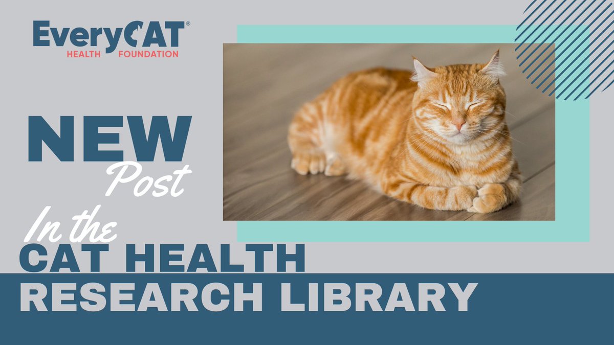 New in the Cat Health Research Library!
EC22-028: Characterizing the blood microbiota in healthy and febrile domestic cats via 16s rRNA sequencing.
An EveryCat funded Study.

ow.ly/WSfb50REUM9

#everycathealth #cathealth #cat #cats #felinehealth #felinemedicine