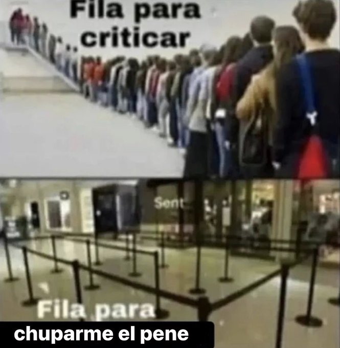 sociedad