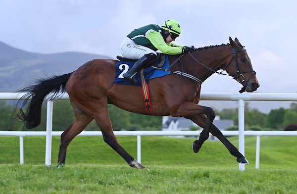 Jump Allen @JodyT97 winner of the ladies Pro/Am bumper @KillarneyRaces for @WillieMullinsNH 📸 healyracing.ie