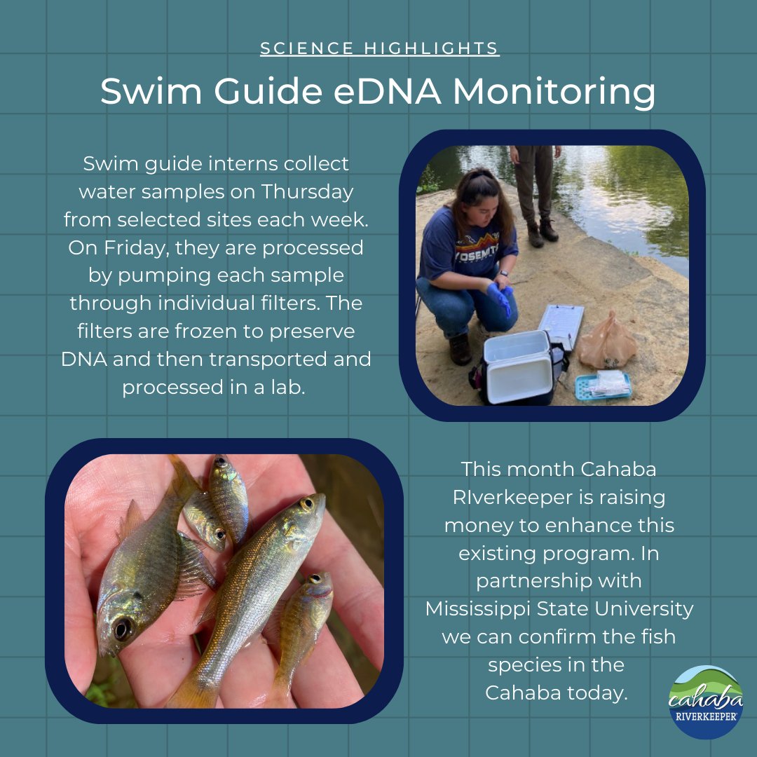 Environmental DNA testing can help identify invasive and native fish species in the Cahaba River. It is critical that we have baseline data of species that exist in our rivers today to help state and federal agencies make informed policy decisions.