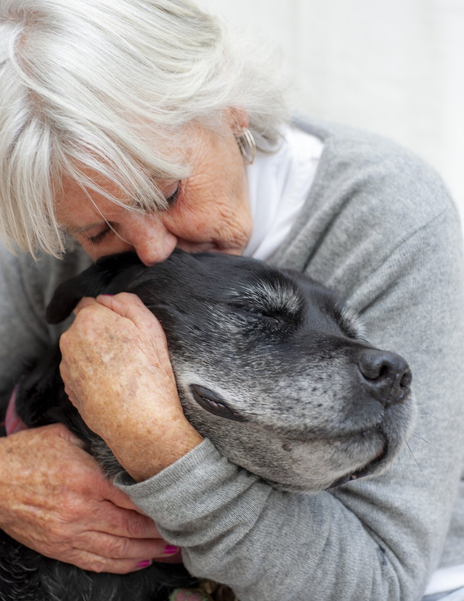 Thanks to @UssPup, we will be able to help more people in our community with preventative medical care for their pets.

Our KEPPT (Keeping Every Person and Pet Together) Program recently received a generous grant from the non-profit organization. Thanks, USS Pup!