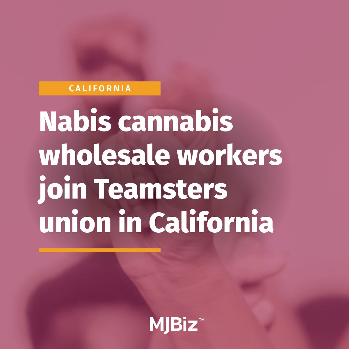 Employees at San Francisco-based #cannabis wholesaler Nabis are the latest to join the @Teamsters Local 630 labor union. The 84 new members, made up of drivers and associates, are the third group to join the Local 630 in the past three weeks. Get the details: