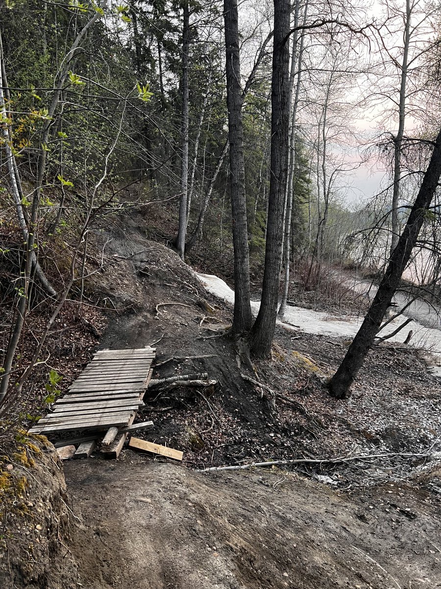 To the anonymous person who rebuilt the janky bridge of Emily’s Glacier and added an extra level of sus, I thank you from the bottom of my clench.