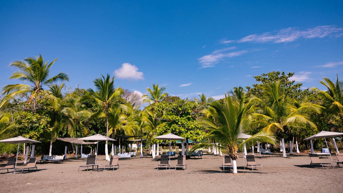Cahui Beach Club is an exclusive beach oasis in Playa Preciosa. From the pier, a scenic 5-minute boat ride transports guests to the private beach club with full-service seaside amenities. Sip on refreshing cocktails, have a delicious lunch, and spend the day lounging.
