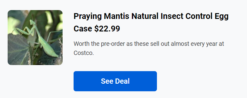 COSTCO HAS PRAYING MANTIS EGGS FOR $22.99?!