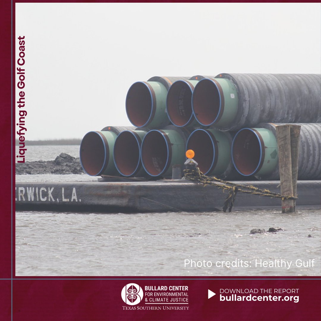 The Gator Express Pipeline located in Plaquemines Parish would lay more than 26 miles of new 42-in-diameter pipeline through open waters, marshland, and vegetated land, disturbing 75 acres of wetland. See the report 'Liquefying the Gulf Coast' to learn more about the…