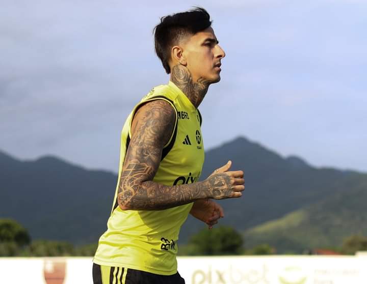 Erick Pulgar  tweet media