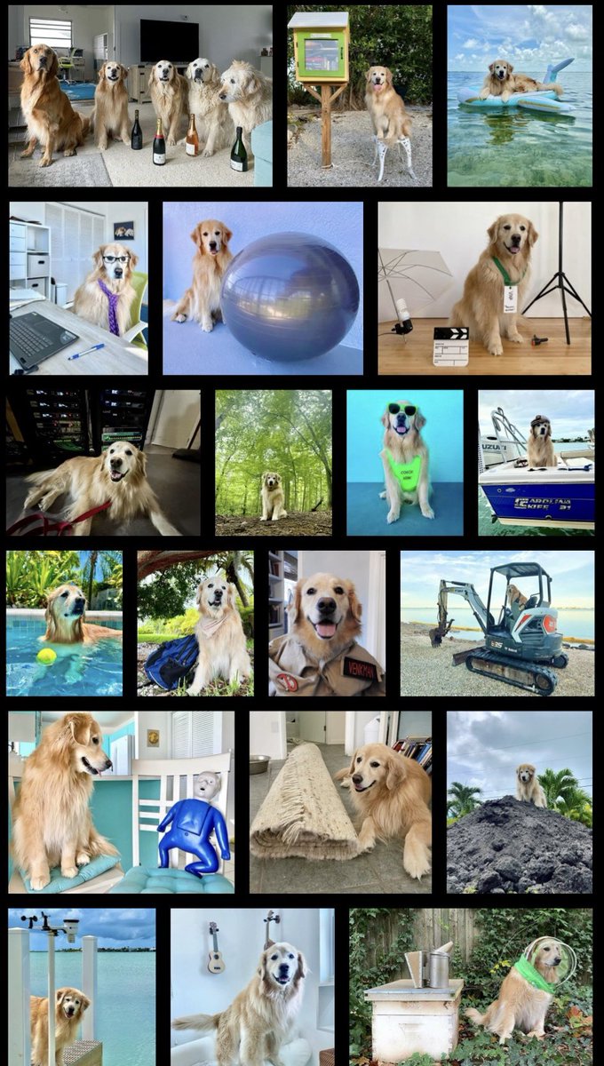 Gorgonzola the Fluff (@gorgonzolatdog) on Twitter photo Yes hello! These are just a selection of careers my seester Venk has worked over the years. Please note this doesn’t include nurse, the moon or teh best but we all knew her to be those too <a href="/TheGoldenRatio4/">The Golden Ratio</a> Yes hello! These are just a selection of careers my seester Venk has worked over the years. Please note this doesn’t include nurse, the moon or teh best but we all knew her to be those too <a href="/TheGoldenRatio4/">The Golden Ratio</a>