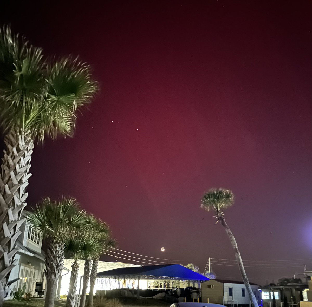 Urvashi Goswami (@urvago) on Twitter photo Northern Lights!!! When surreal dream become reality. <a href="/Whitney_Lab/">Whitney Laboratory</a>
#auroraborealis #northernlights #florida Northern Lights!!! When surreal dream become reality. <a href="/Whitney_Lab/">Whitney Laboratory</a>
#auroraborealis #northernlights #florida