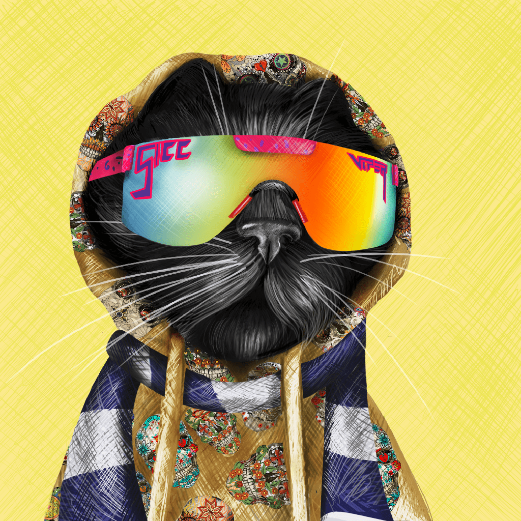 explores888's tweet photo. πNFT #Giveaway time!
Win an #NFT from #SiccCat Collection by @deadgens_πββ¬π It's one cool cat!
How to Participate?
1β£ Must follow @SPEARonNEAR @TatToTheToo @dblayned
2β£ Like + Retweet
3β£ Tag 1 friends under the post
4β£Leave your Near Wallet
#NEAR #NFTs #NFTGiveawayπ¨π¨ (1/2) https://t.co/3mtf8Bsu4E