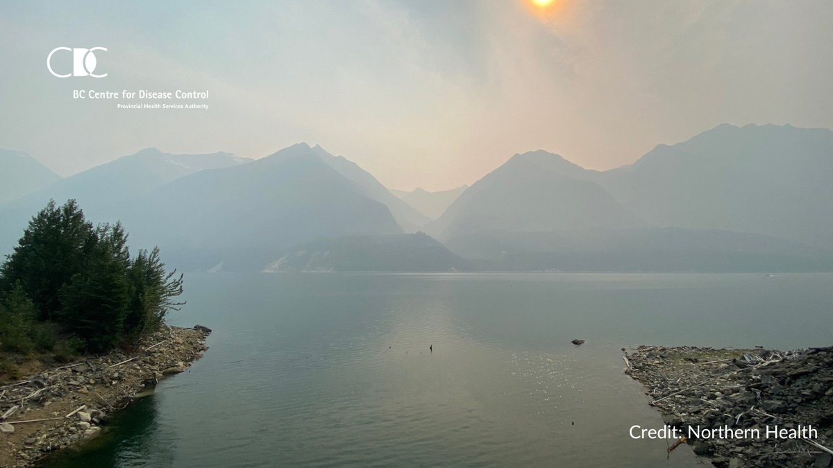 Wildfire smoke is a form of air pollution that can affect your health. Learn about #wildfire smoke and how to protect yourself and reduce your exposure during the summer months bccdc.ca/wildfiresmoke #BCWildfire