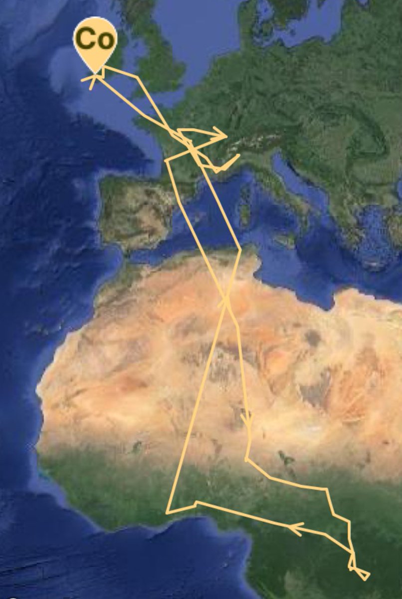 Irish Cuckoo Update - Fantastic news!All three tagged Cuckoos are now back at their breeding grounds in Killarney NP. KP was first to arrive on 30th April after major sea crossing from Spain, Torc on 1st May and Cores 8th May. Incredible journeys! @NPWSIreland @_BTO @BirdWatchIE